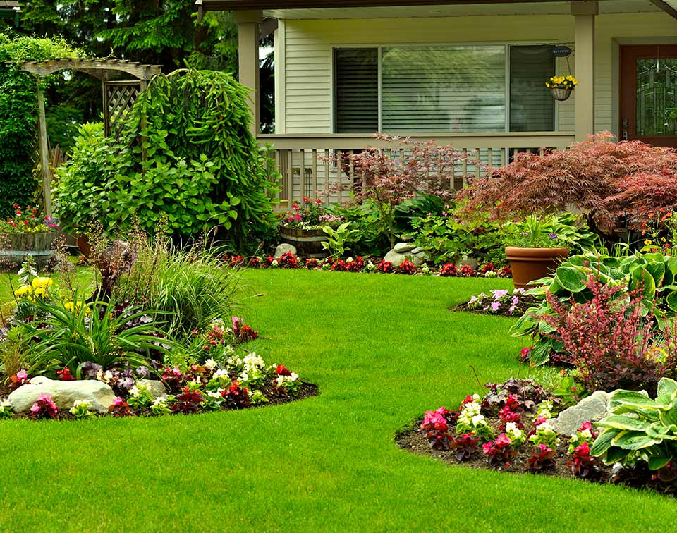 Lawn Care Services